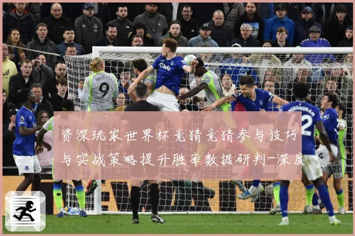 资深玩家世界杯竞猜竞猜参与技巧与实战策略提升胜率数据研判-深度解析